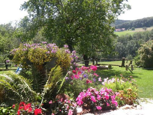 Apartamento Wolf-hof
