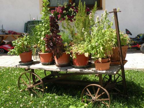 Apartamento Wolf-hof
