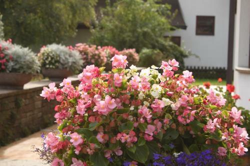 Bed & Breakfast Pension Kern