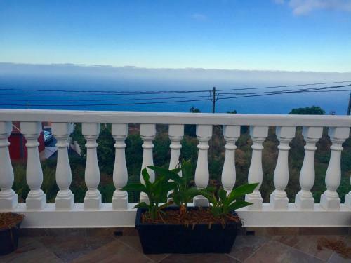 Costa Este House