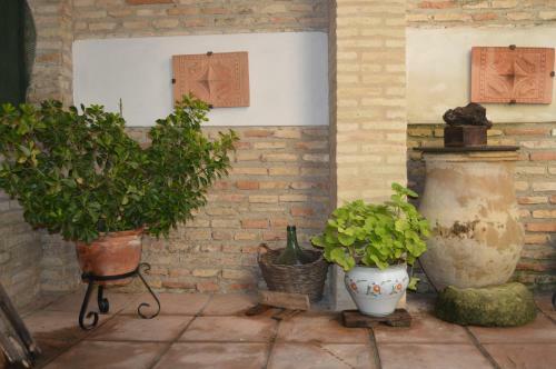 Alojamiento Con Encanto