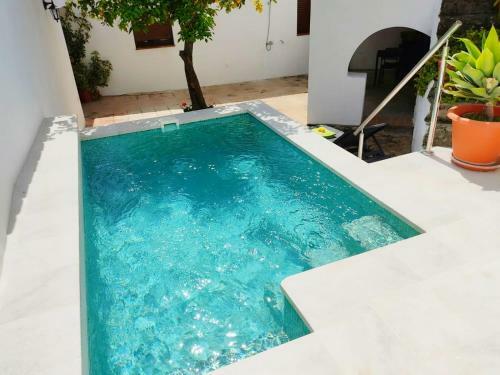 El Patio Del Lim�n