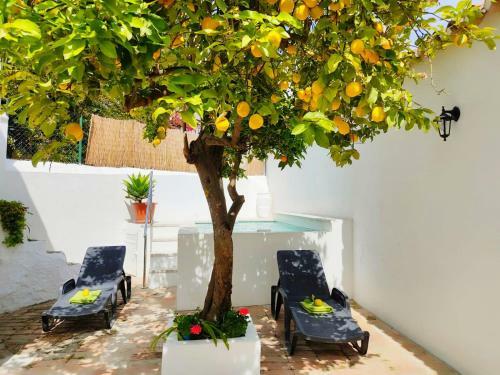 El Patio Del Lim�n