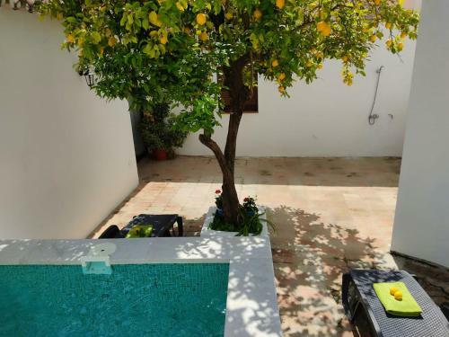 El Patio Del Lim�n