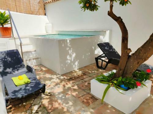 El Patio Del Lim�n