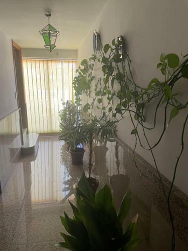Apartamento Coronichi