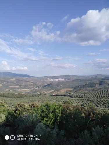 La Vi�olilla