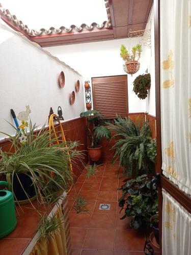 Casa Gonzalo