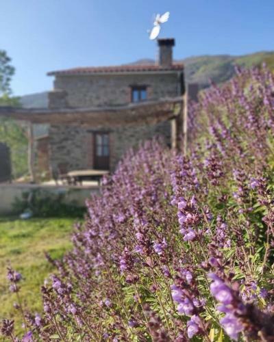 Can Rovira de Fogars