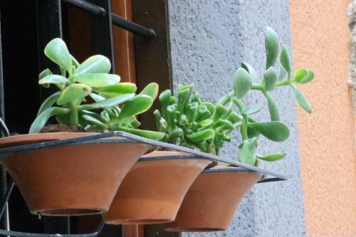 Mi Casa De Moratalla