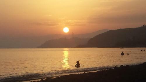 Apartamento Sol�rium