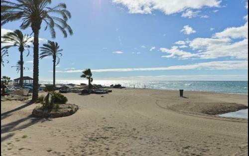 Apartamento Holidaysbeachtorrox-6