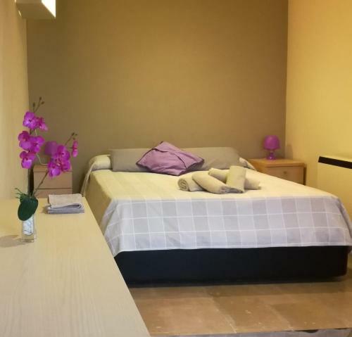Apartamentos Stetic