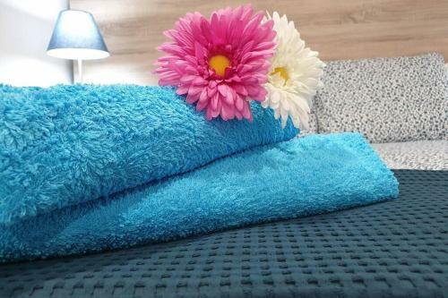Apartamento Eucalipto
