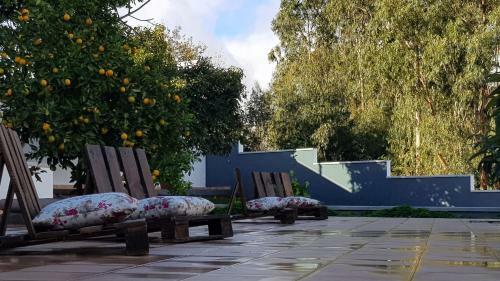 Lodge Casitas Guti�rrez