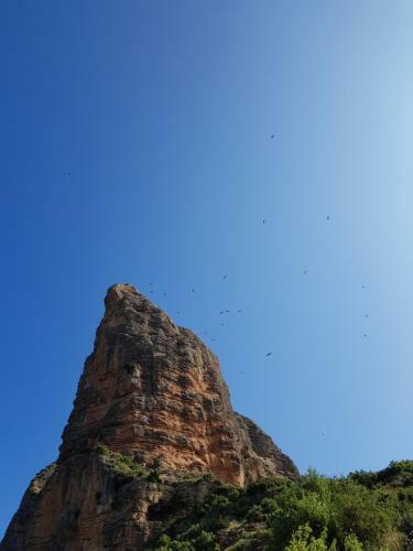 Natura Jordan