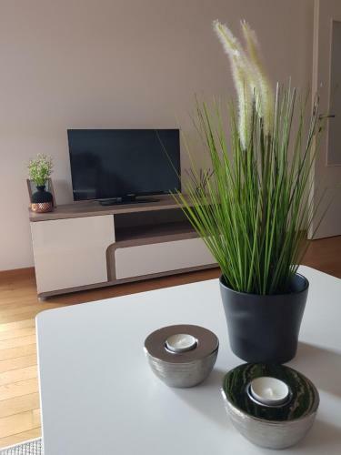 Apartman Dijana