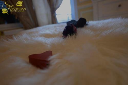Spa Apartman Banja Luka