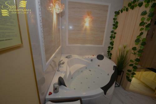 Spa Apartman Banja Luka