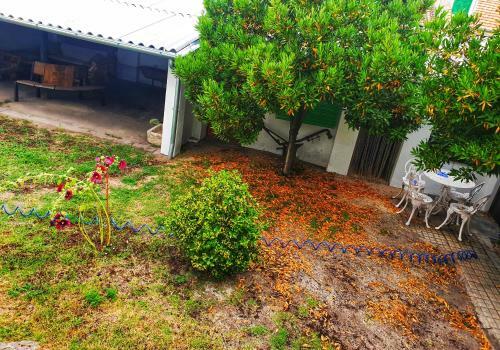 Casa De La Marina