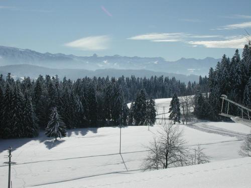 Apartamento Lindenhof