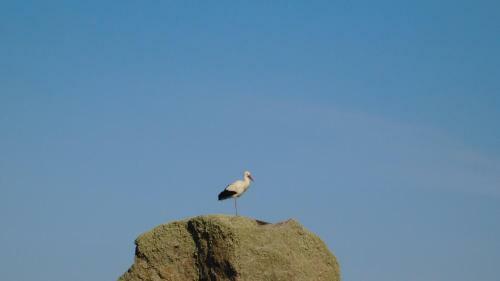 La Silla De La Reina