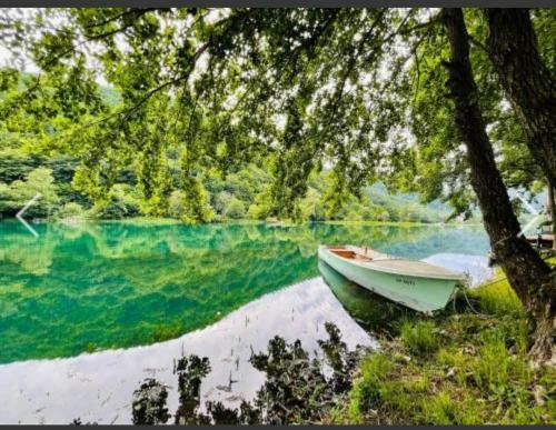 Villa Dalia -bihac-una