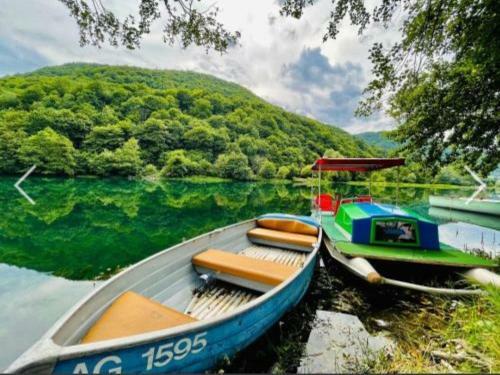 Villa Dalia -bihac-una