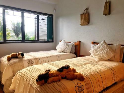 Coastal Chalet Suites Whangaroa