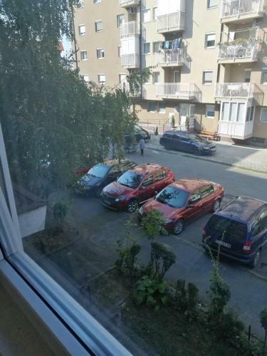 Apartman Maja