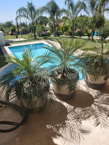 Agroturismo Jard�n de Eventos Bugambilias