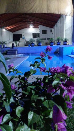 Agroturismo Jard�n de Eventos Bugambilias