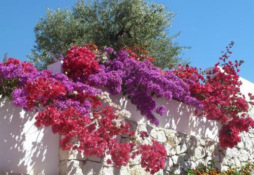 2 Bed Apartment In Central Moraira