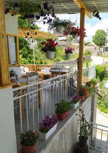 Hostal Tearra Guesthouse