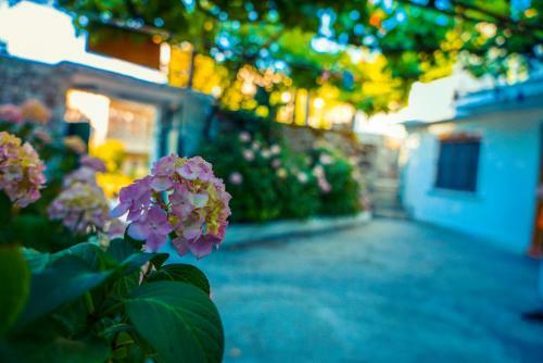 Hostal The Fir Gate