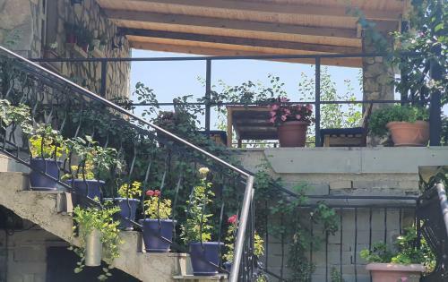 Hostal Guesthouse Lile