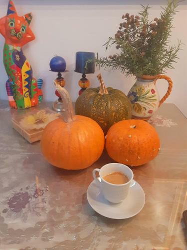 Hostal Villa 70