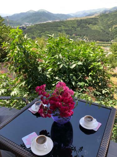 Hostal Anuki Tanuki