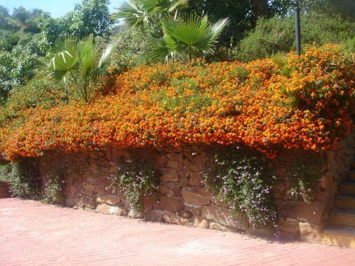 El Capricho De Almadan