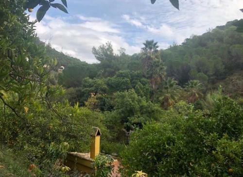 El Capricho De Almadan