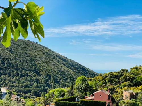 Finca Flores
