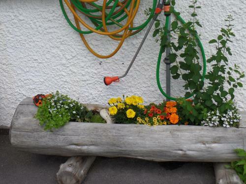 Hostal Pension Sonnenberg
