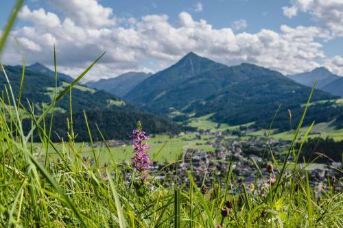 Apartamento Appartement Eckwald Altenmarkt-zauchensee