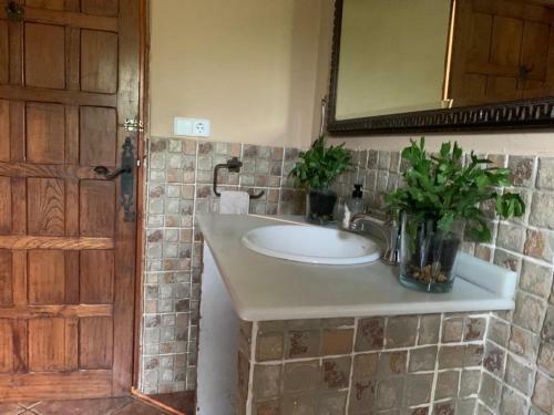 Casa Con Piscina Y Jard�n En Oleiros