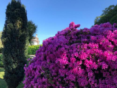 Casa Con Piscina Y Jard�n En Oleiros