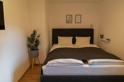 Apartamento Markthaus36