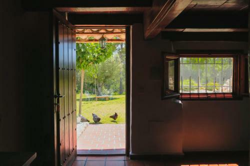 Apartamento Masia Pou de La Vinya