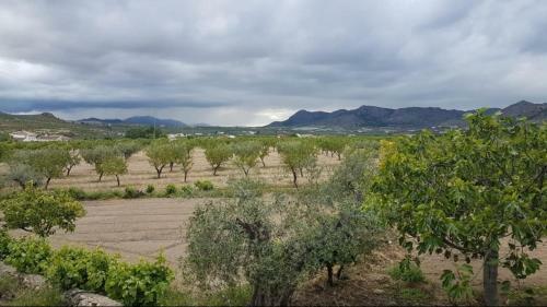 Immaculate 2-bed 2-bathroom Casa In Oria Almeria