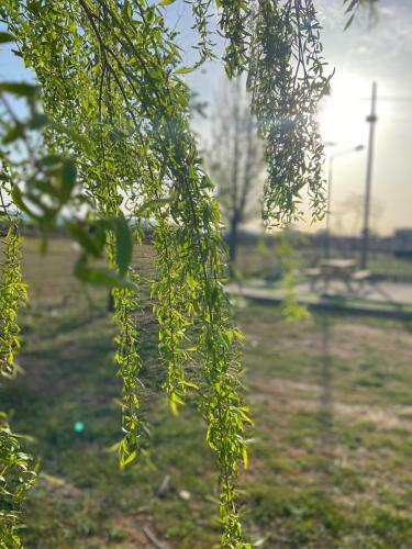Finca - Granja " El Chaparral"