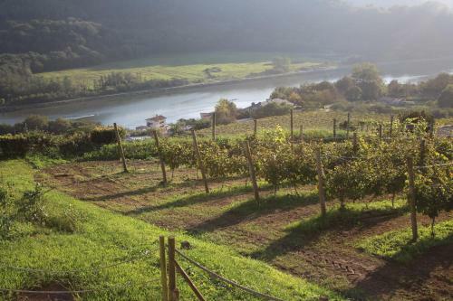 Agroturismo Casa Rural Erretzabal Txiki